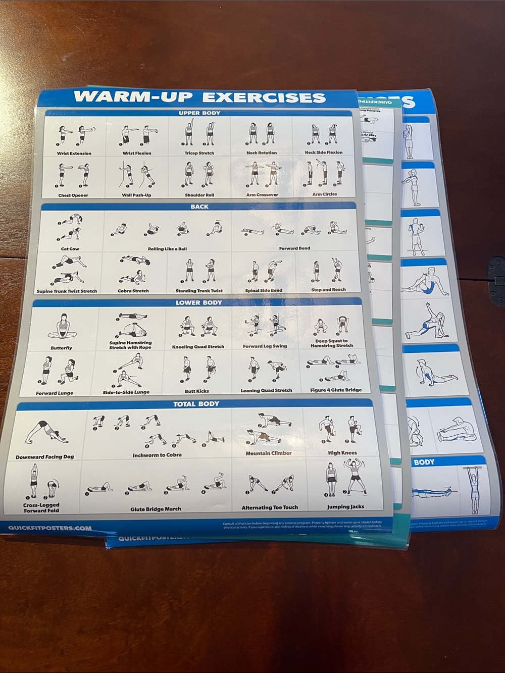 NEW 3 double sided Workout Posters and trackers